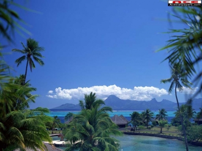 ö�����忡�� ������ ��Ȱ��ǰ�Դϴ�.